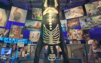 Abschlussfahrt nach Amsterdam